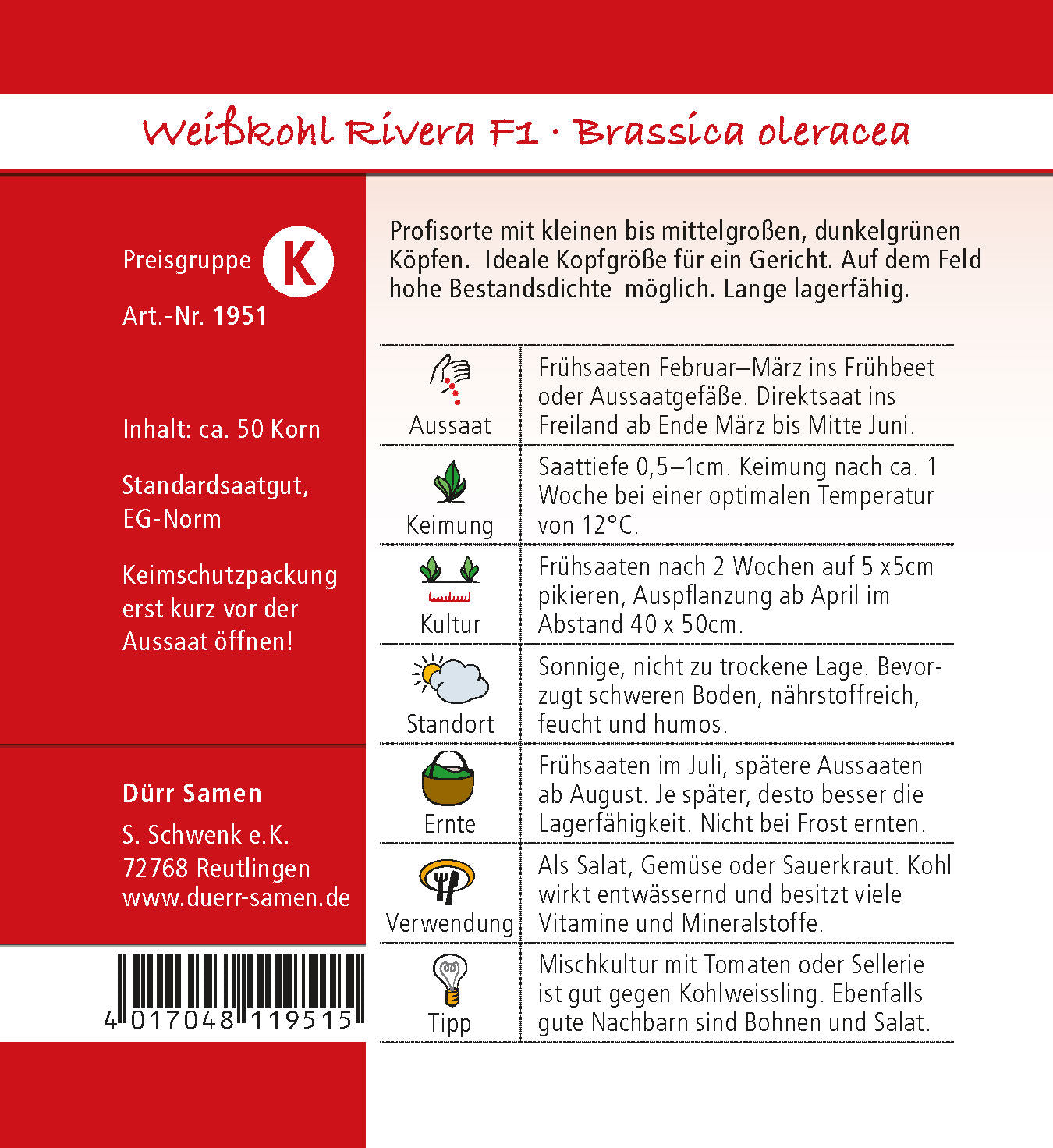 Weißkohl Rivera F1