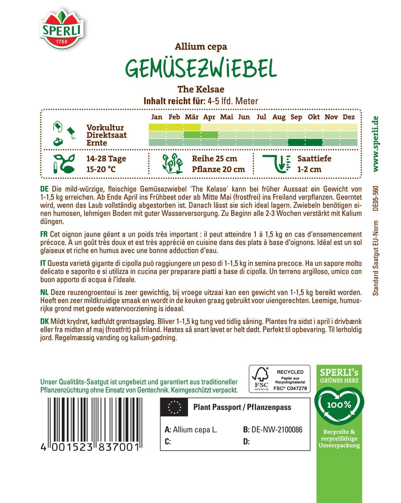 Zwiebel The Kelsae, Riesengemüsezwiebel