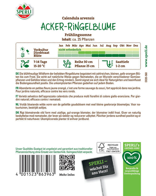 Acker-Ringelblume Frühlingssonne