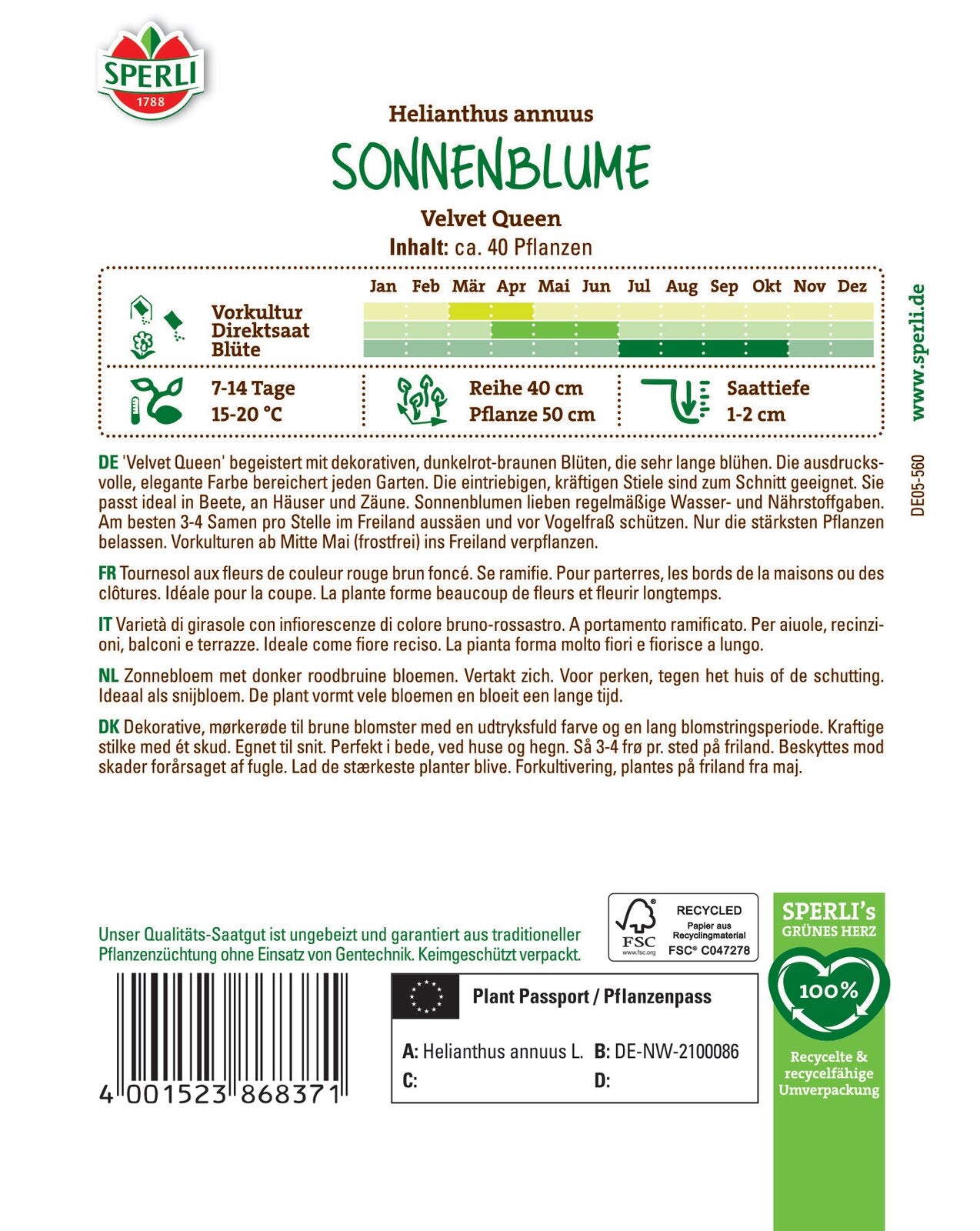 Sonnenblume Velvet Queen