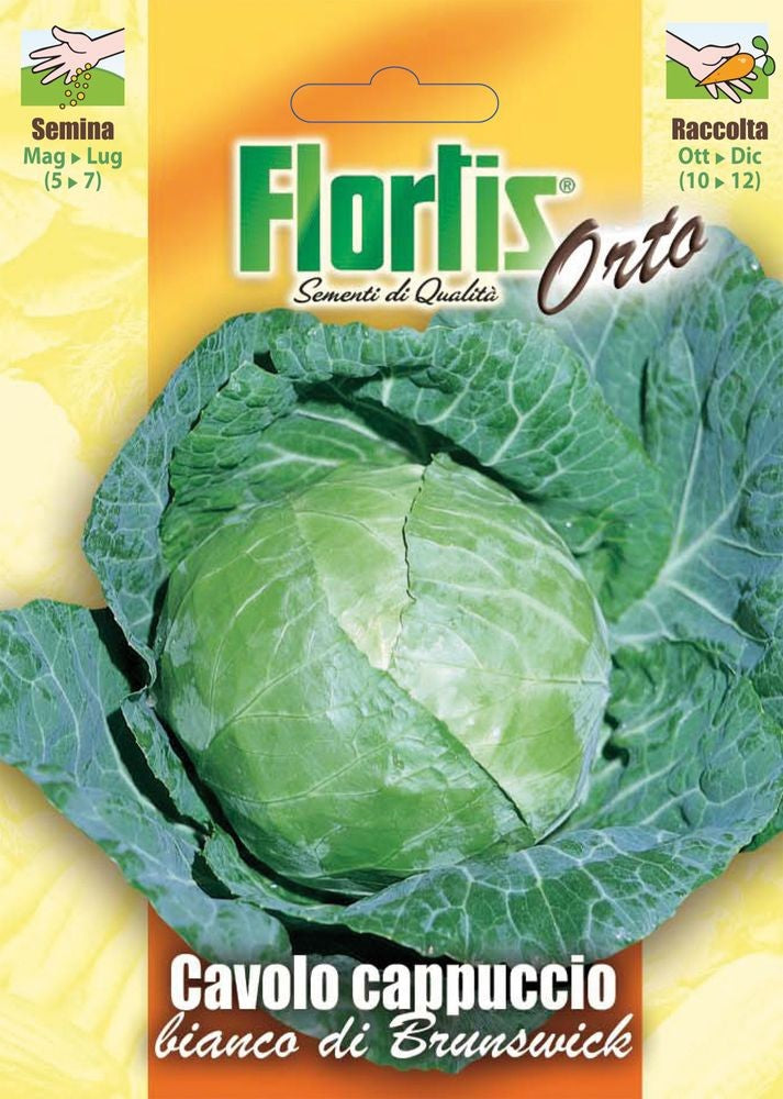 Weißkohl Brunswick