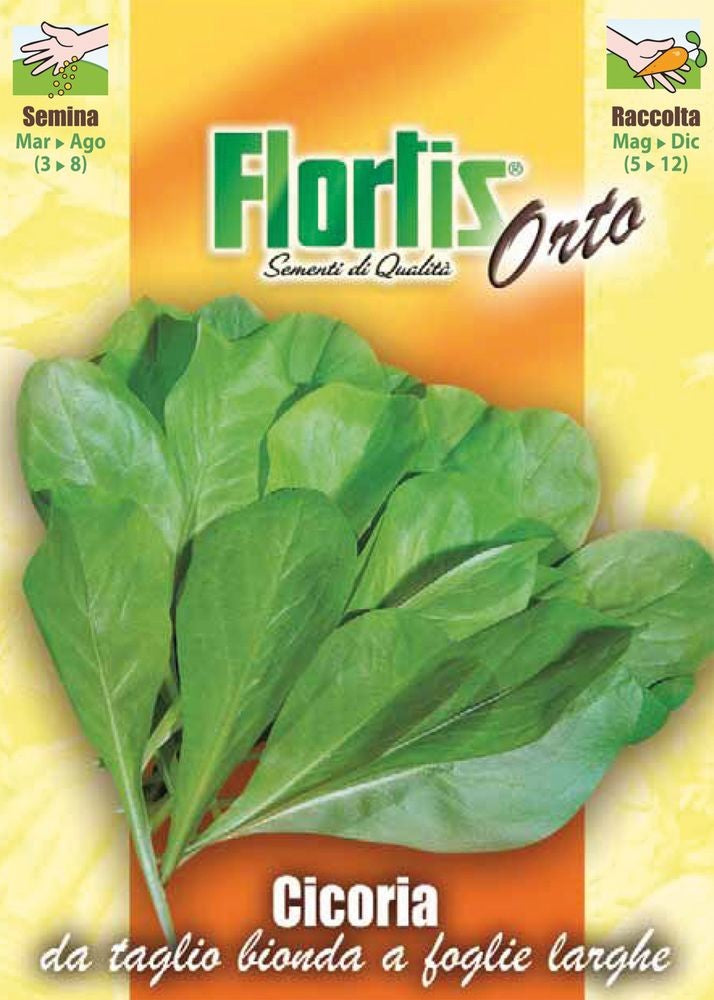 Schnittzichorie Bionda A Foglie Larghe