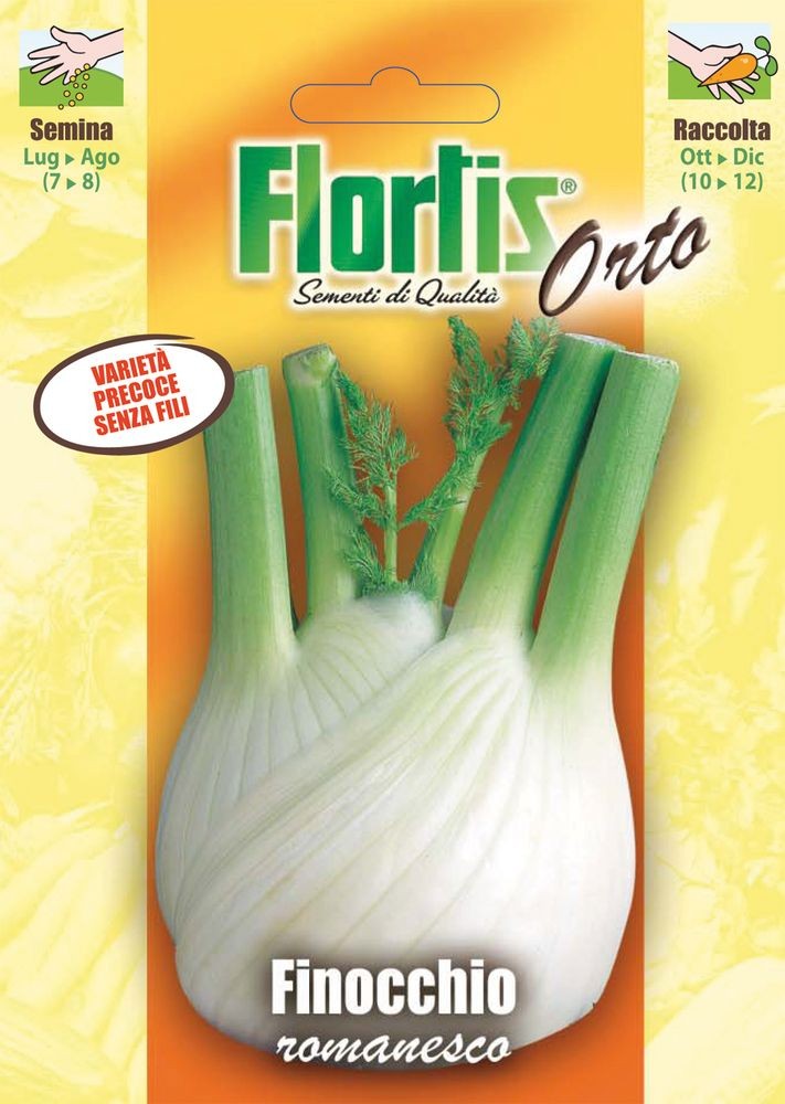 Römischer Fenchel