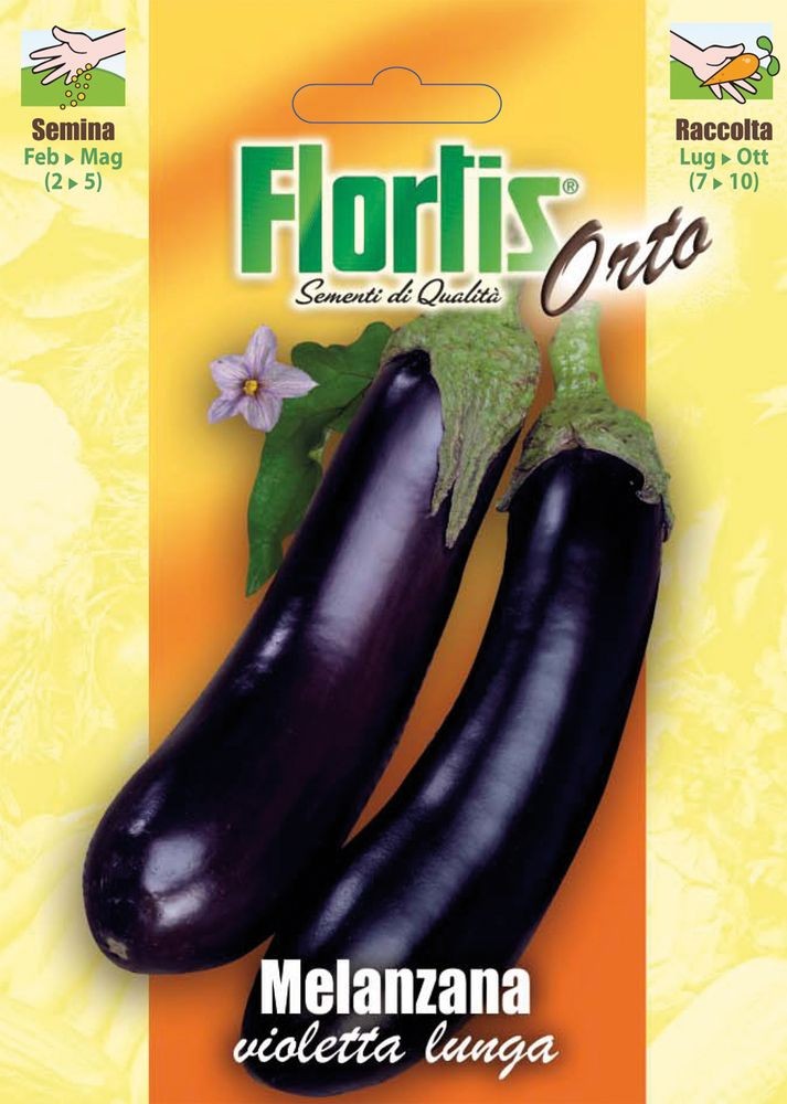 Aubergine Violetta Lunga 3