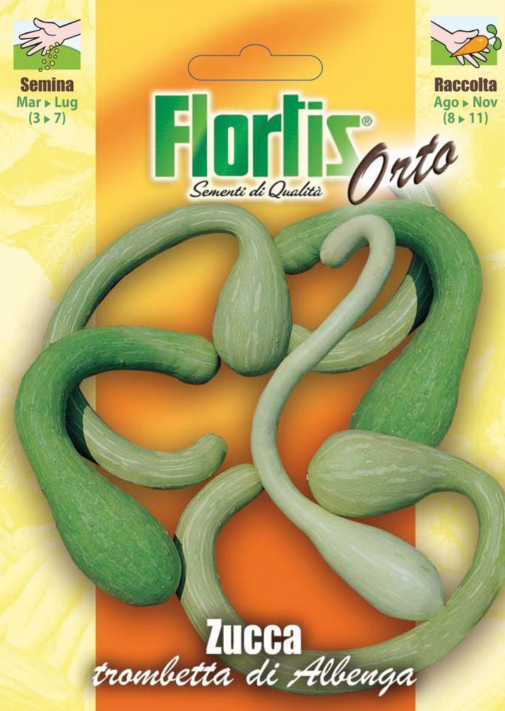 Kürbis Kleine Trompete Von Albenga