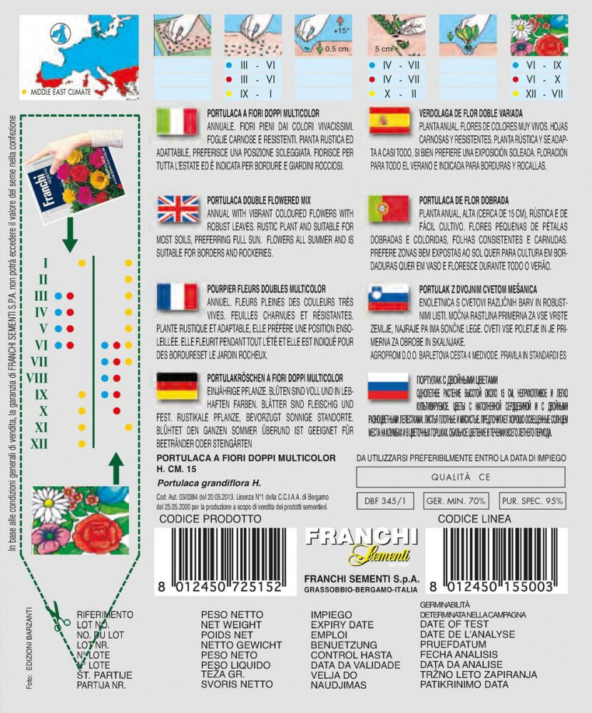 Portulakröschen A Fiori Doppi Mehrfarbig