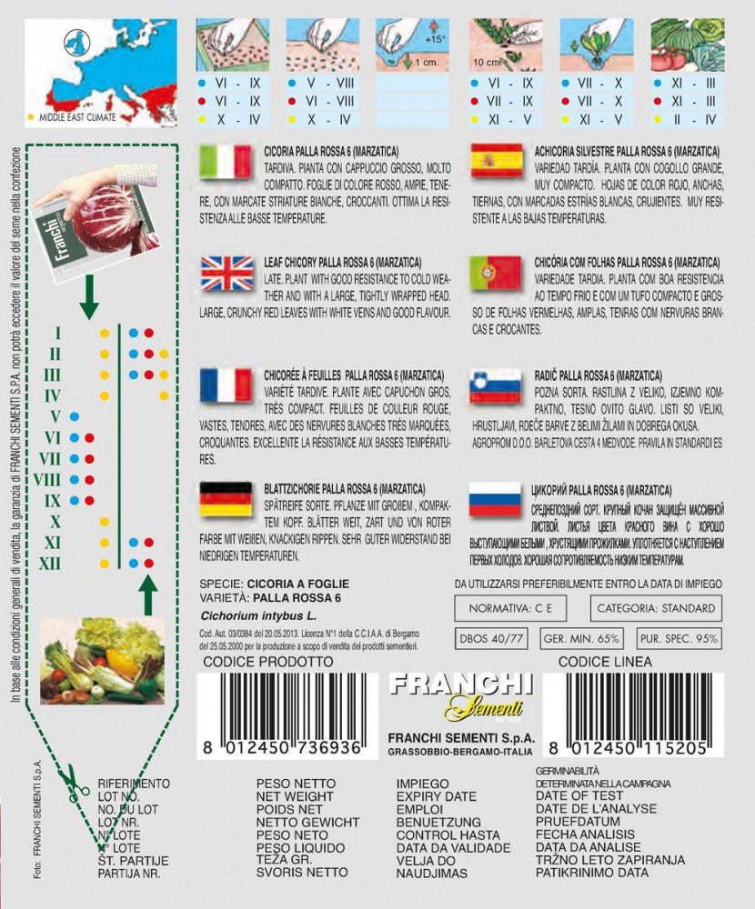 Blattchicorée Palla Rossa 6 (Marzatica)