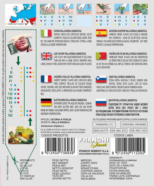 Blattchicorée Palla Rossa 6 (Marzatica)