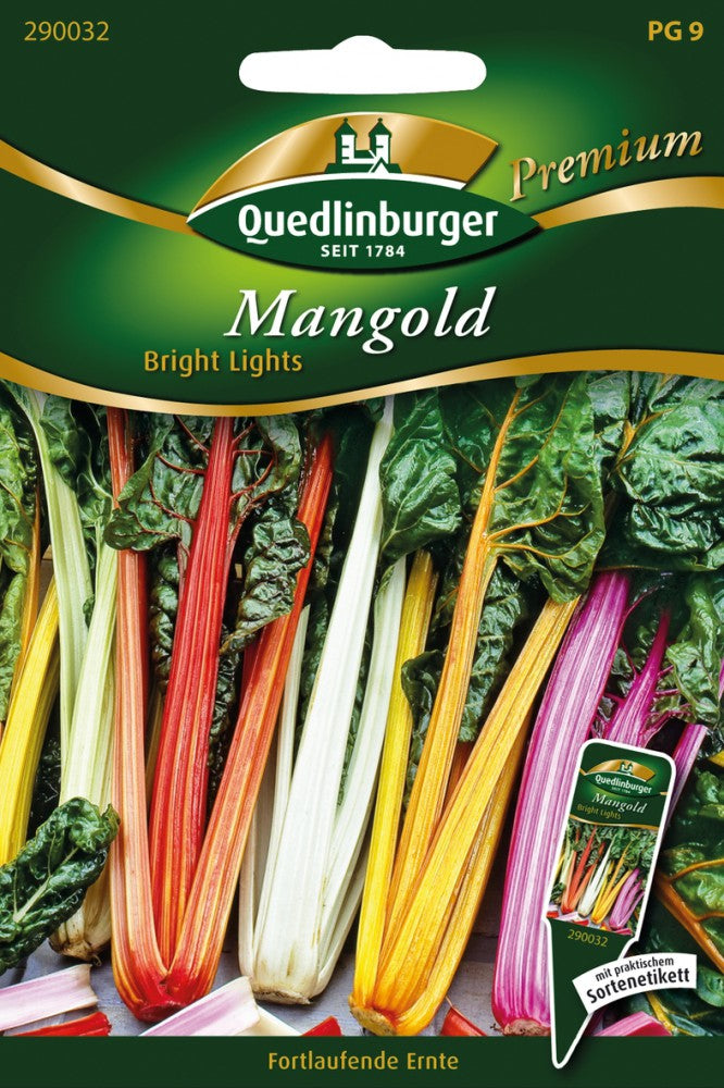 Mangold Bright Lights