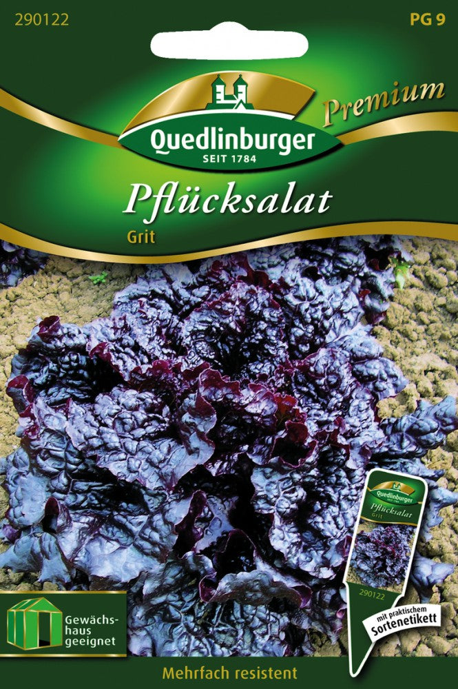 Pflücksalat Grit