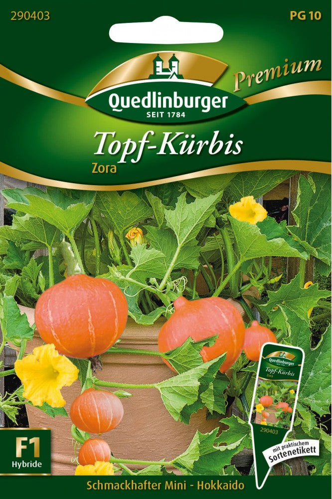 Topfkürbis Mini Hokkaido Zora