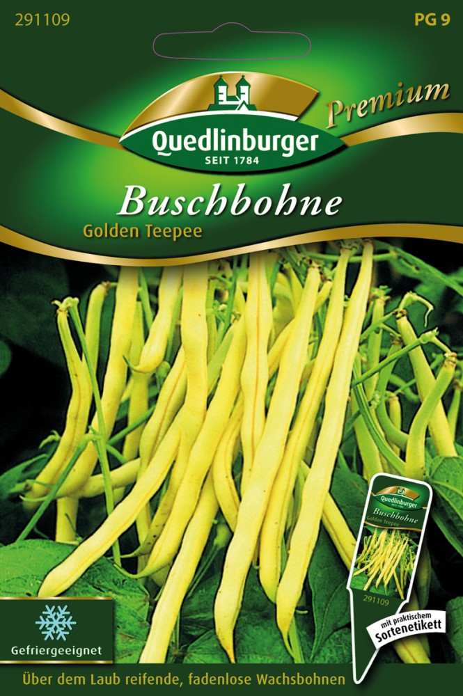 Buschbohne Golden Teepee