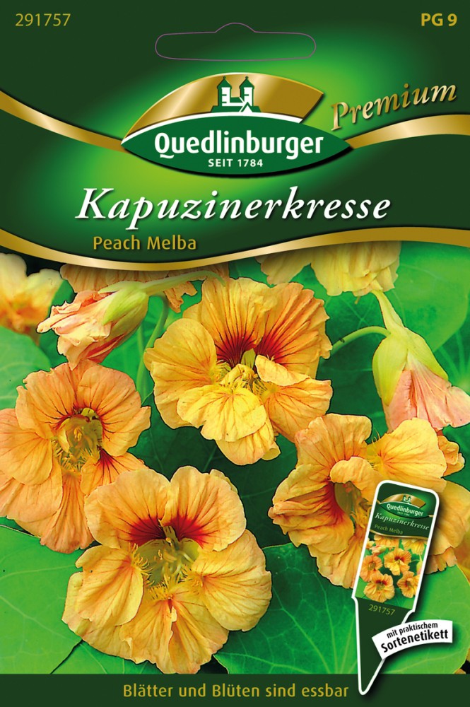 Kapuzinerkresse Peach Melba