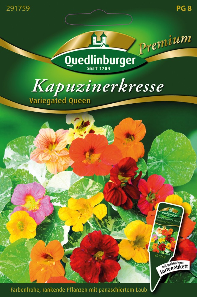 Kapuzinerkresse Variegated Que