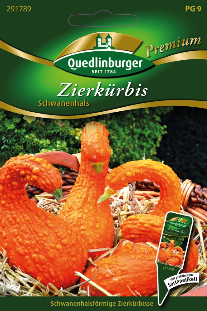 Zierkürbis Schwanenhals