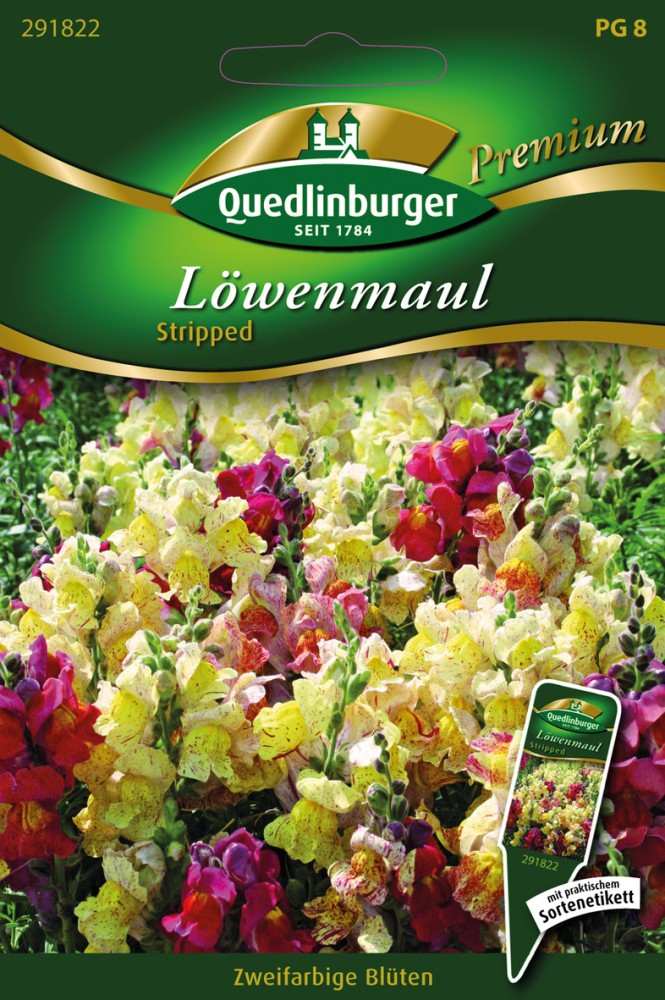 Löwenmaul Stripped