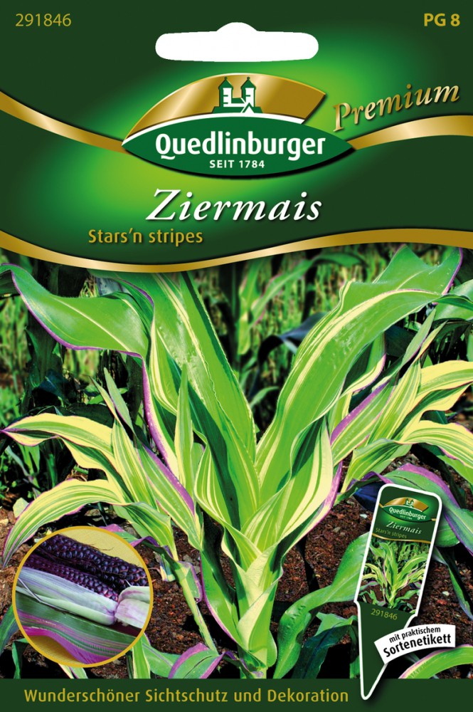 Ziermais Stars & Stripes