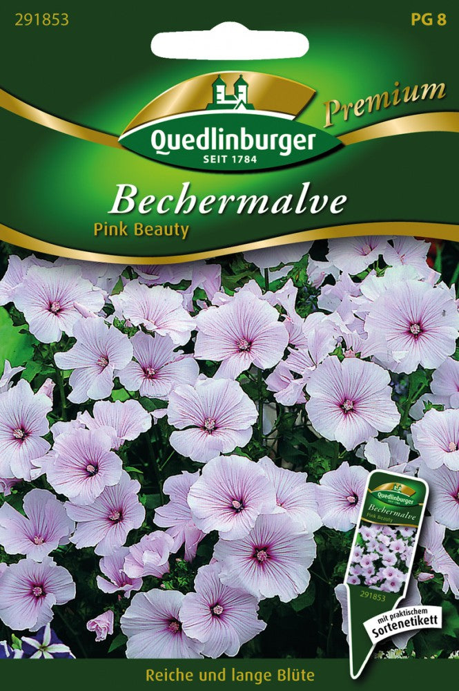 Bechermalven Pink Beauty