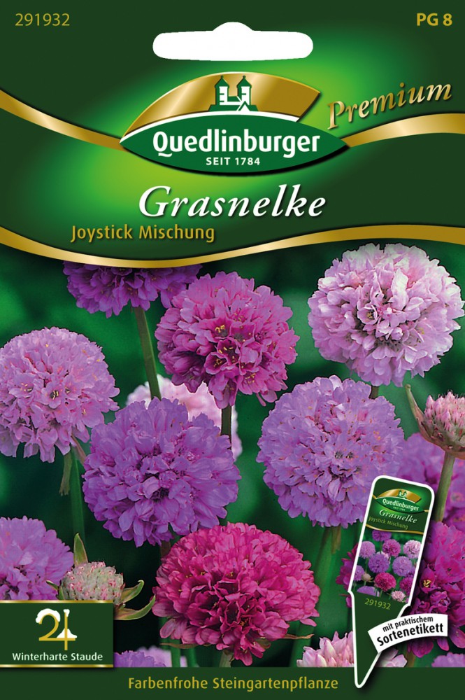 Grasnelken Joystick Mischung