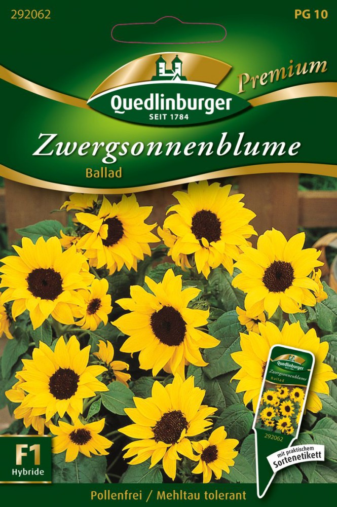 Zwergsonnenblumen Ballad