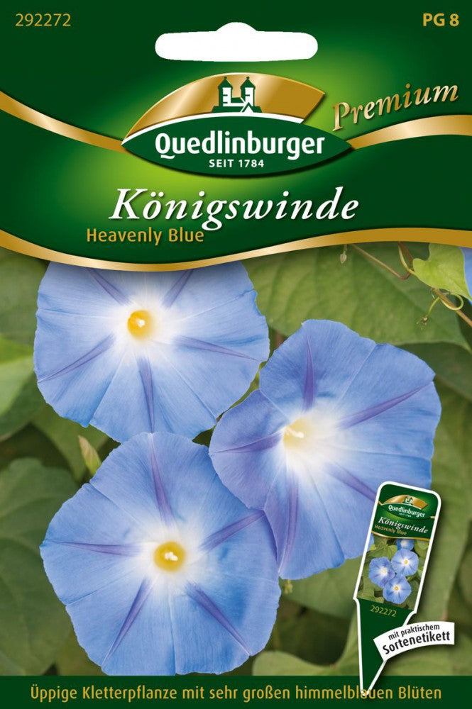 Königswinden Heavenly Blue