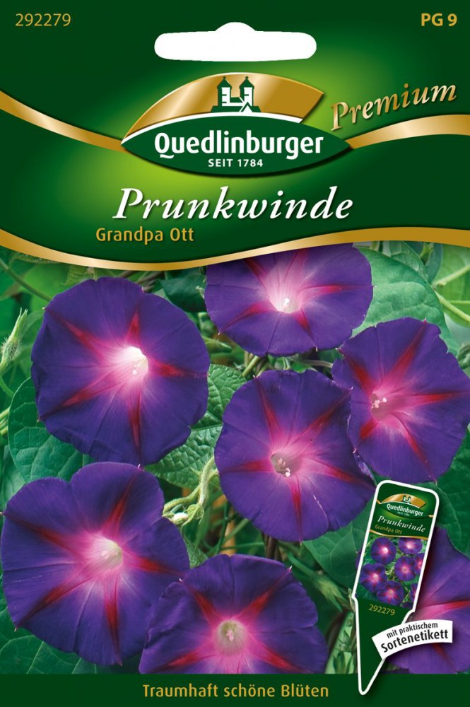 Prunkwinden Grandpa Ott