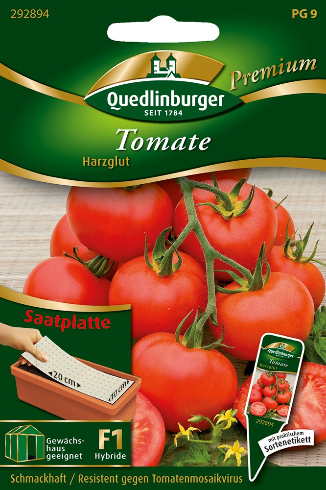 Tomate Harzglut (Saatplatte)