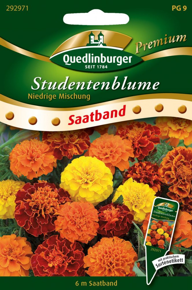 Studentenblumen Niedrige Mischung