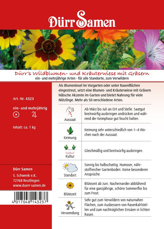 Wildblumen- Und Kräuterwiese Mit Gräsern 125m²