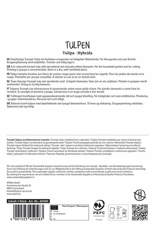 Triumph-Tulpe Match (5 Stück)