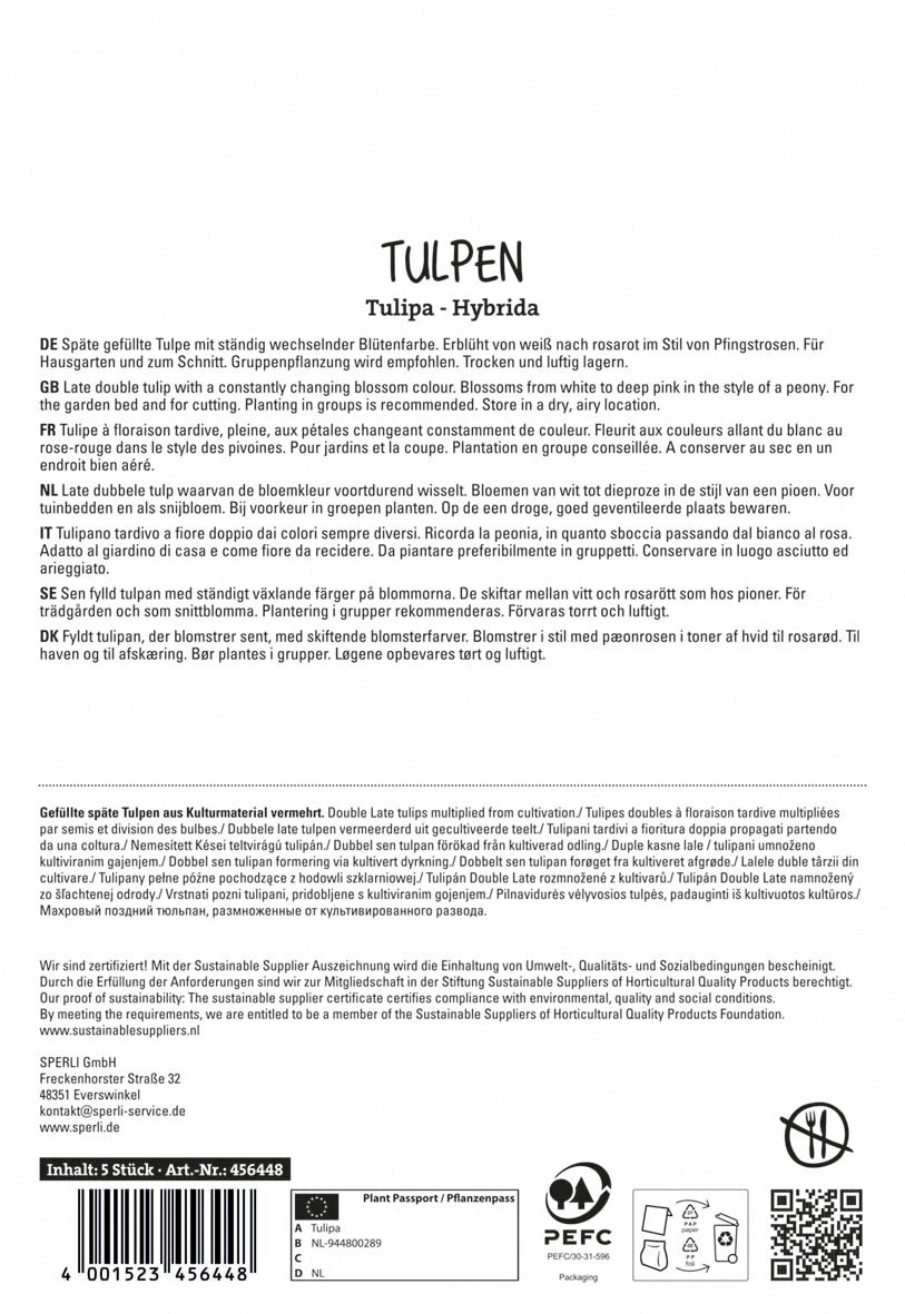 Tulpe Finola (5 Stück)