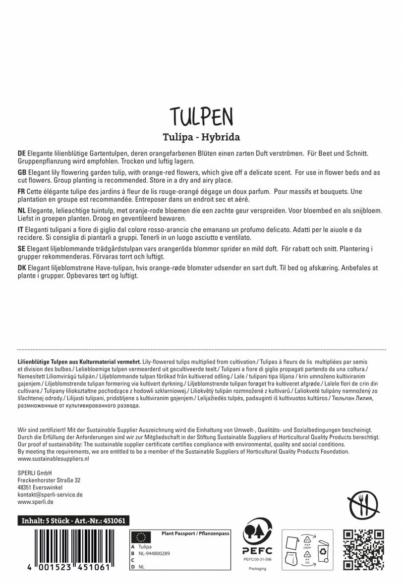 Tulpe Ballerina (5 Stück)