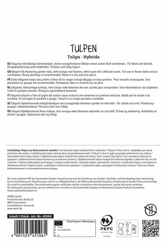 Tulpe Ballerina (5 Stück)