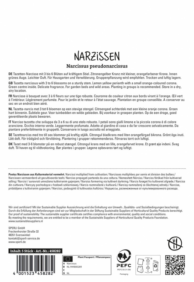 Narzisse Scarlet Gem (5 Stück)