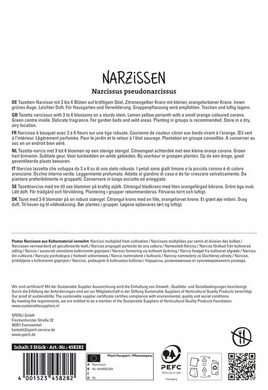 Narzisse Scarlet Gem (5 Stück)