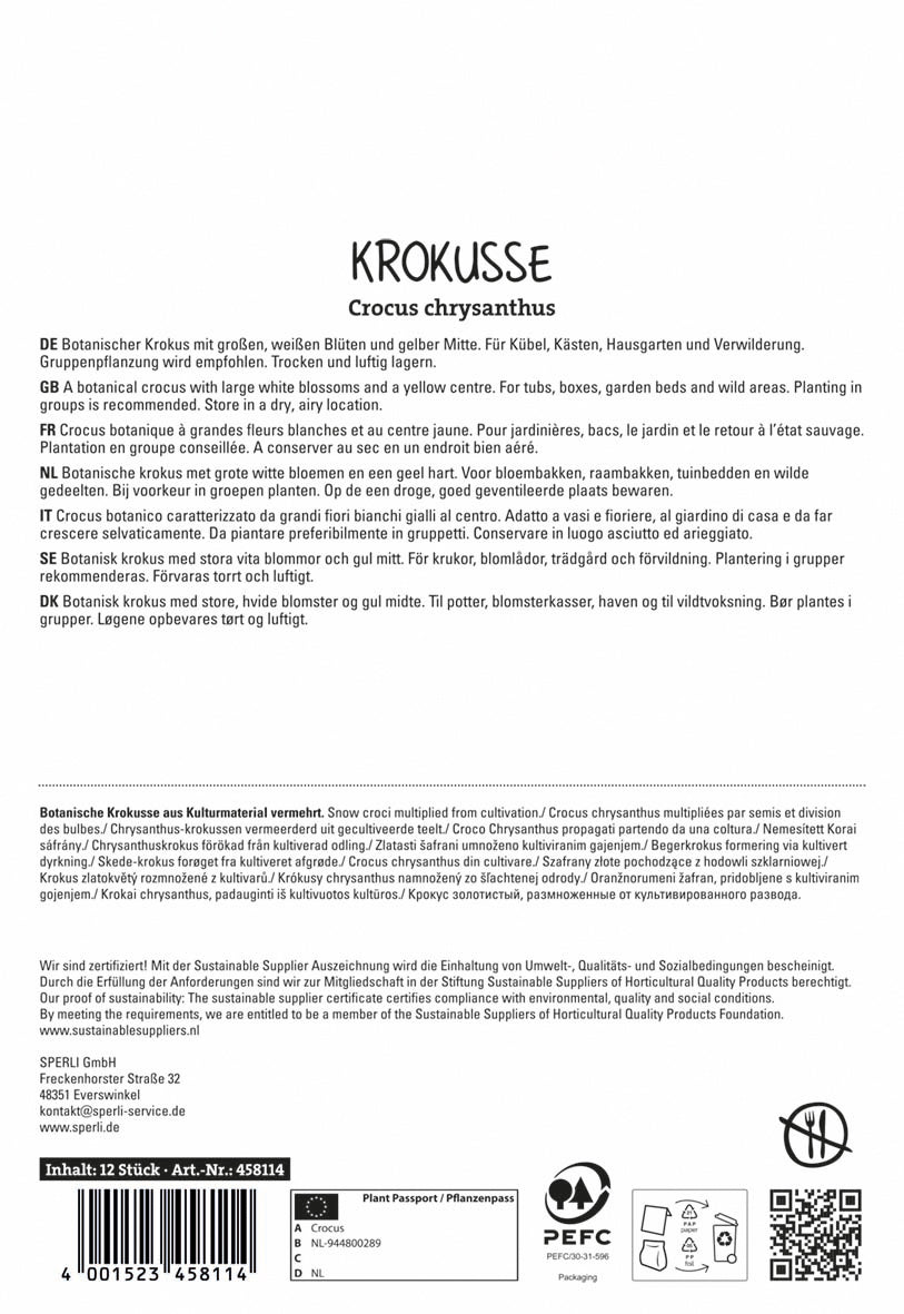 Krokus Ard Schenk (12 Stück)