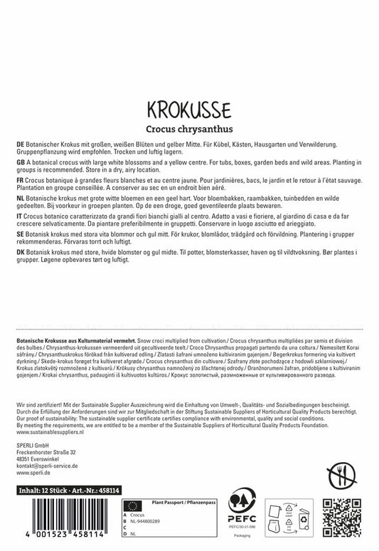Krokus Ard Schenk (12 Stück)