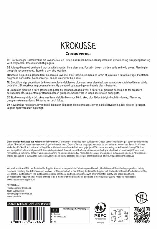 Krokus Grand Maitre (12 Stück)