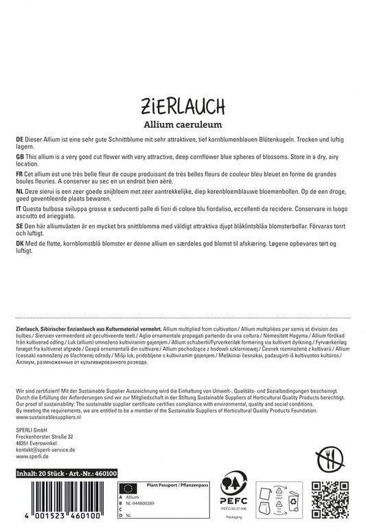 Zierlauch Blau (20 Stück)