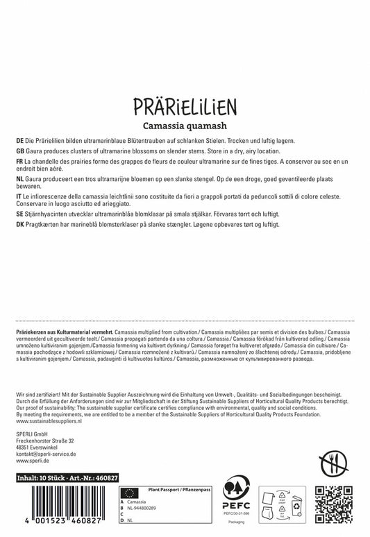 Prärielilie (10 Stück)