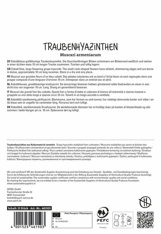 Armenische Traubenhyazinthe (15 Stück)