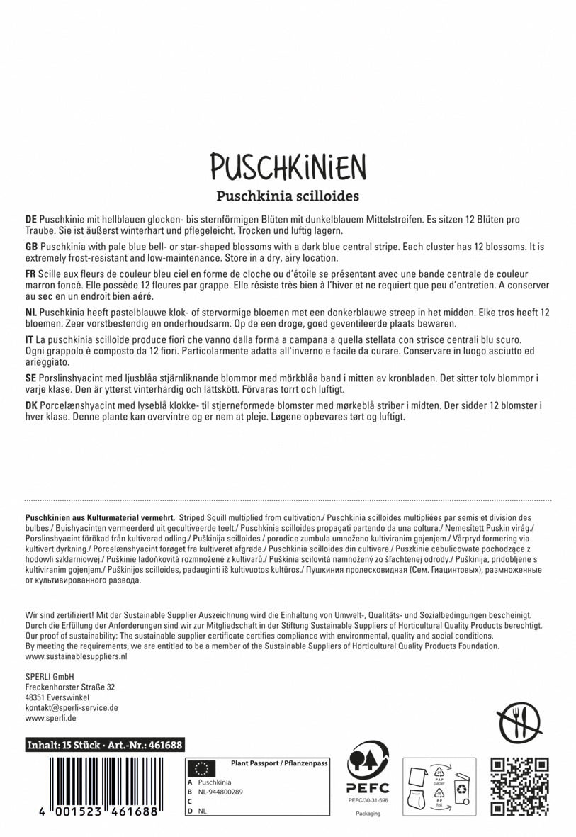 Puschkinie (15 Stück)