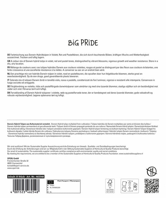 Maxi Tulpen Big Pride Mischung (15 Stück)