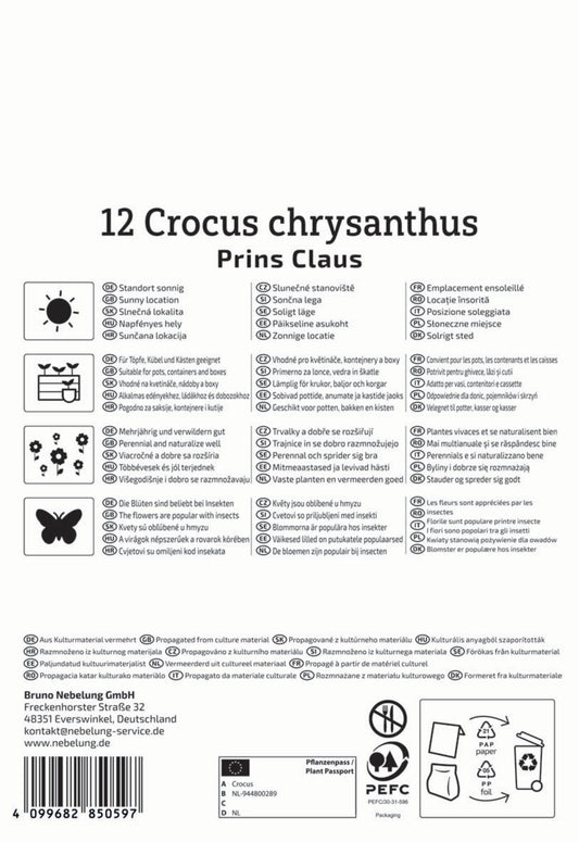 Botanischer Krokus Prins Claus (12 Stück)