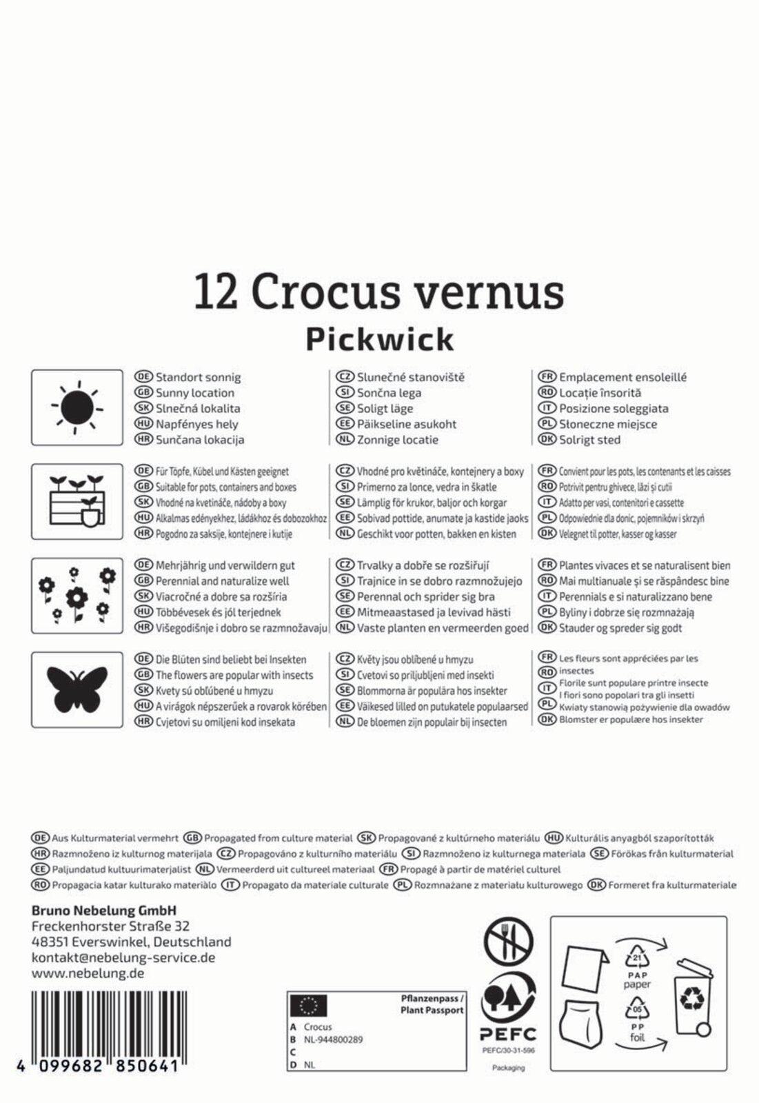 Großblumiger Krokus Pickwick (12 Stück)