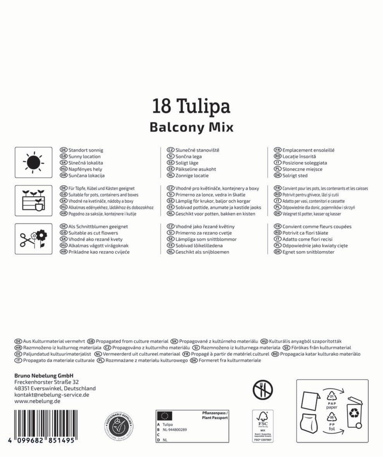 Mega-Pack Botanische Tulpen Balkonzauber Mischung (18 Stück)