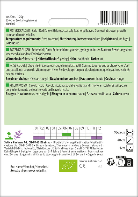 BIO Federkohl / Grünkohl Roter Krauser