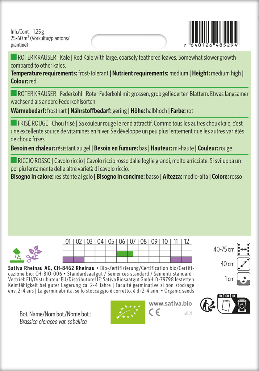 BIO Federkohl / Grünkohl Roter Krauser