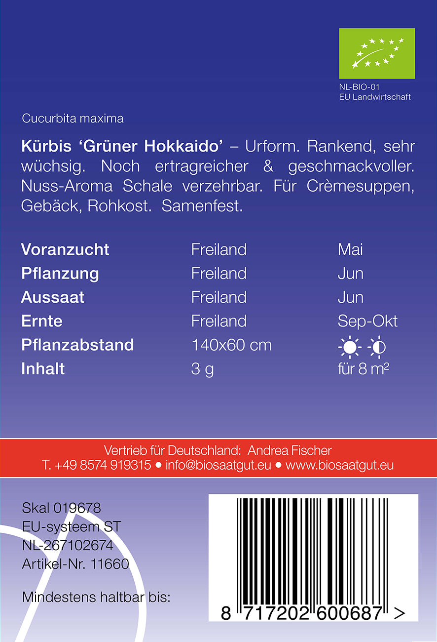BIO Kürbis Grüner Hokkaido