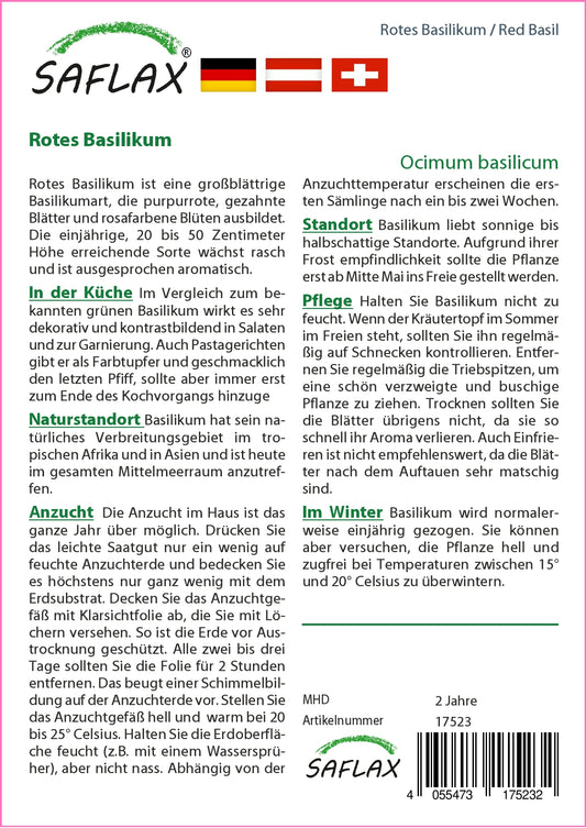 Rotes Basilikum